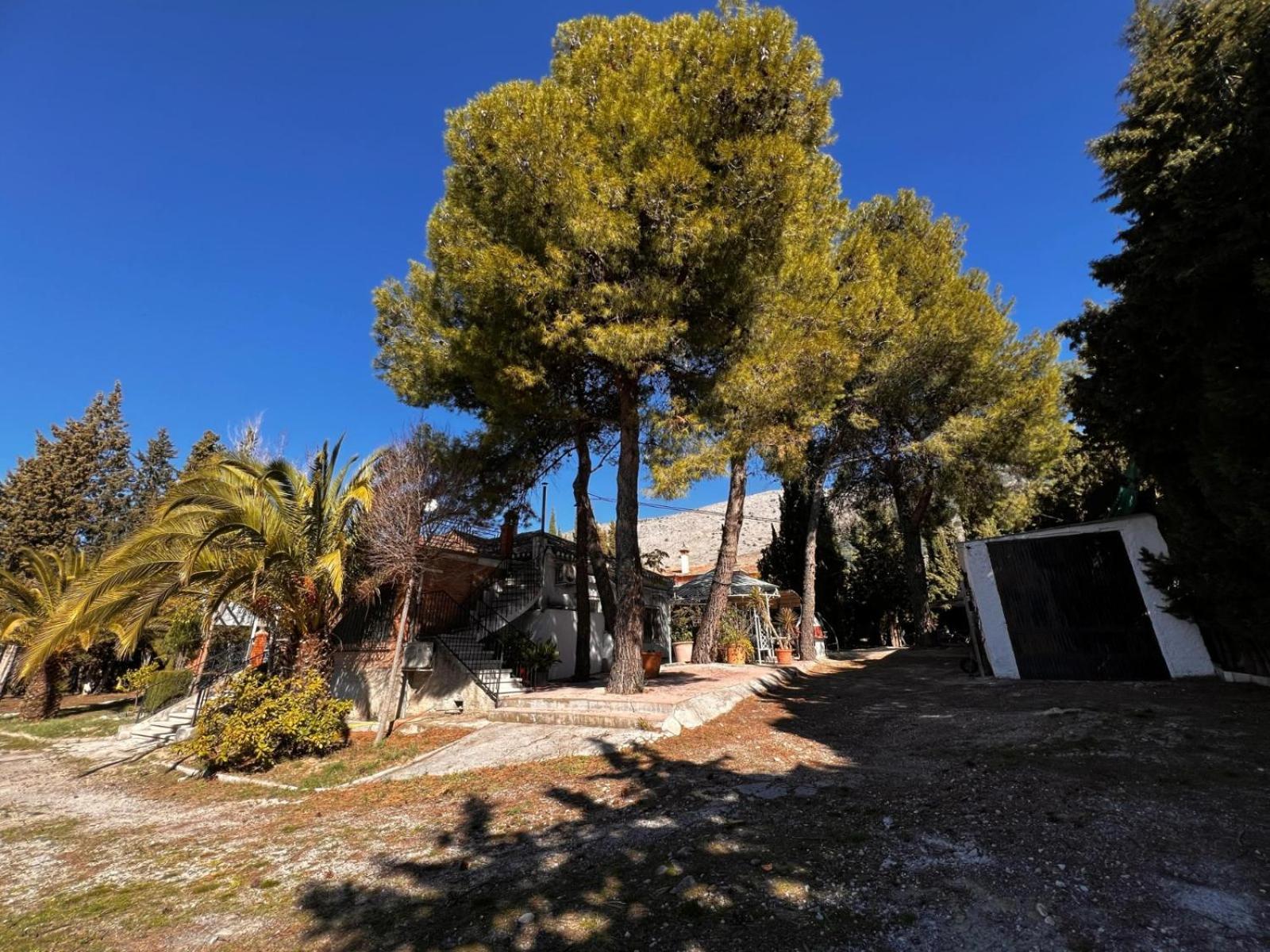 Villa Lazaro Alfacar Exteriör bild